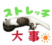 857979069
