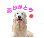 857979281
