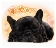857979307