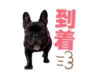 857979310