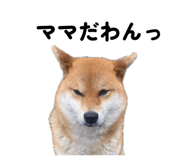 857980489