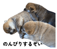 857980491