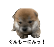 857980498