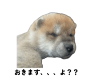 857980500