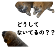 857980501