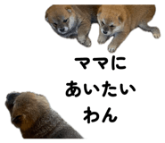 857980502