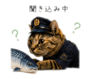857980632