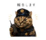 857980646