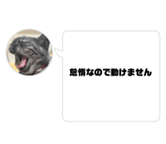 857980822