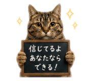857981108