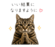 857981111