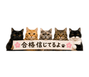 857981118