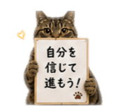 857981120