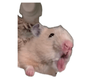 857981986