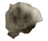 857981991