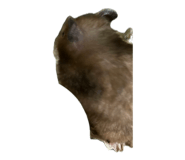 857981994