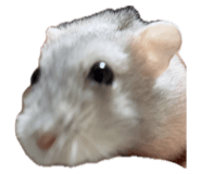 857981997