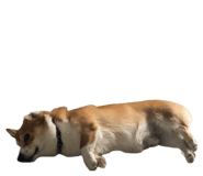 857981999