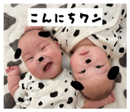 857983013