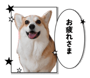 857984203