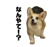 857984207