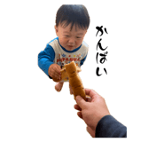 857984538