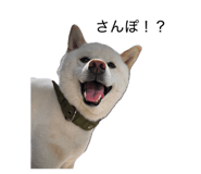 857984833