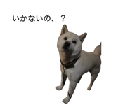 857984835
