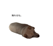 857984838