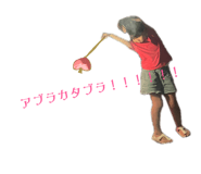 857985284