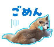 857985289