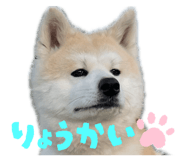 857985295