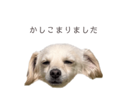 857985377