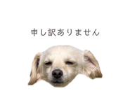 857985378
