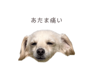 857985380