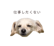 857985381