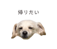 857985382
