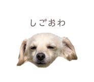 857985383