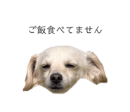 857985385