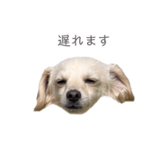 857985386