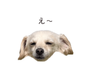 857985387