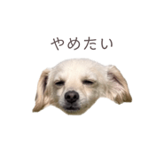 857985388