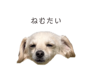 857985389