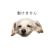 857985390