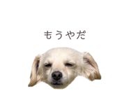 857985391