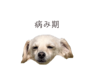 857985392