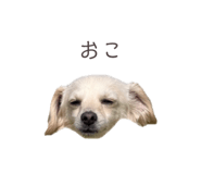 857985393