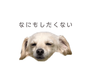 857985394