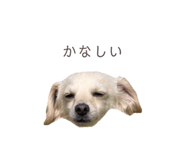 857985395