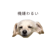 857985396